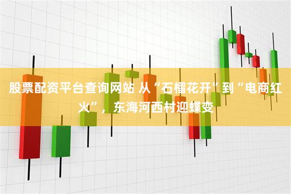 股票配资平台查询网站 从“石榴花开”到“电商红火”，东海河西村迎蝶变