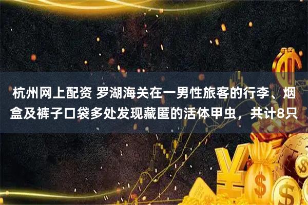 杭州网上配资 罗湖海关在一男性旅客的行李、烟盒及裤子口袋多处发现藏匿的活体甲虫，共计8只